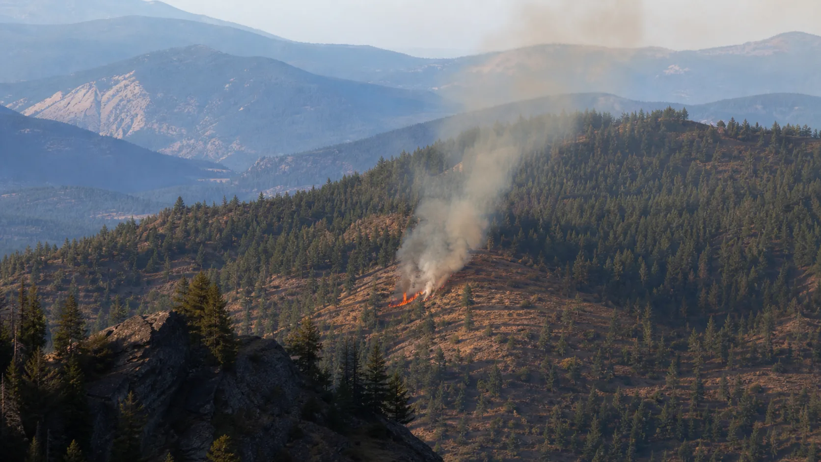 Smoke and fire on a forest ridge
